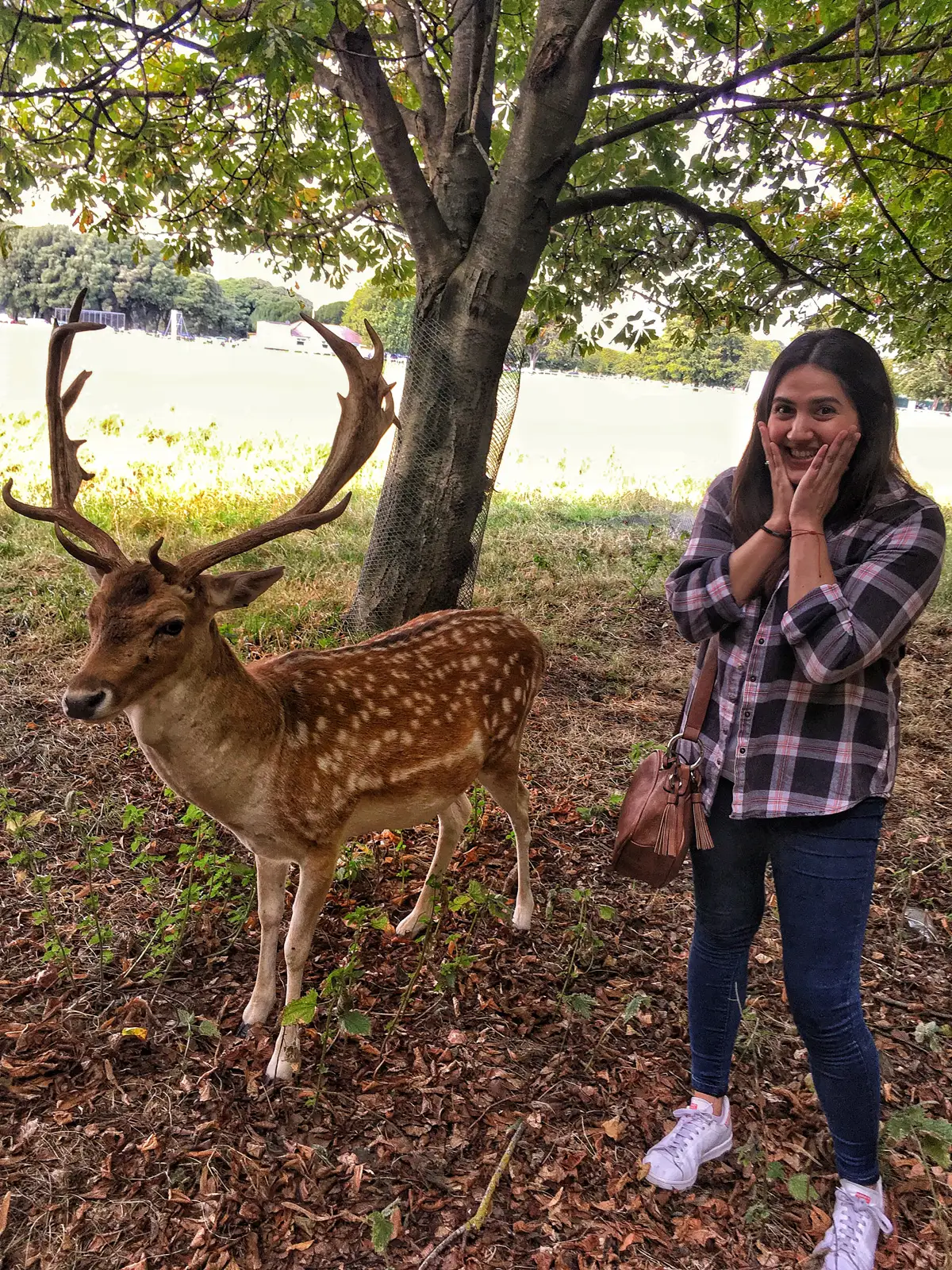 Florencia Hidalgo en Irlanda